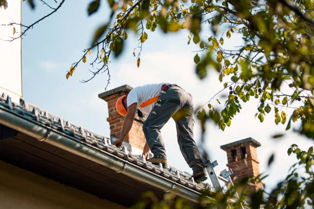 Best Best Roofing Contractors  in Wrangell, AK
