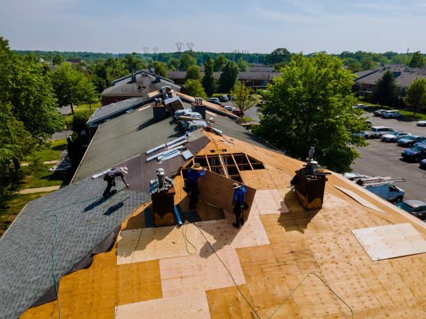 Best Flat Roof Repair Services  in Wrangell, AK