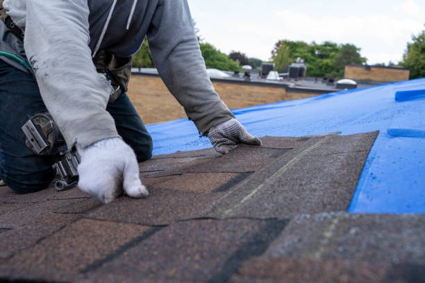 Best Best Roofing Contractors  in Wrangell, AK