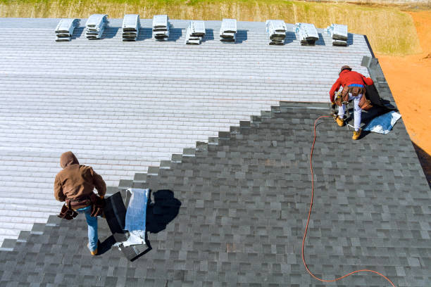Best Roof Maintenance Services  in Wrangell, AK