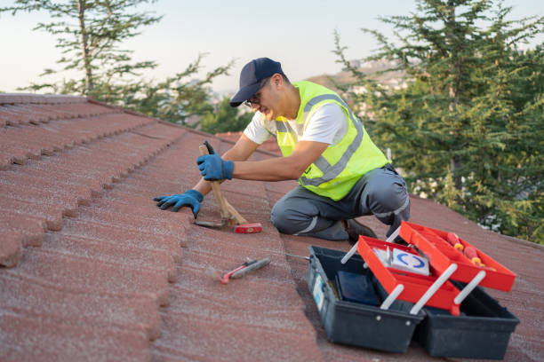 Best Affordable Roofing Company  in Wrangell, AK